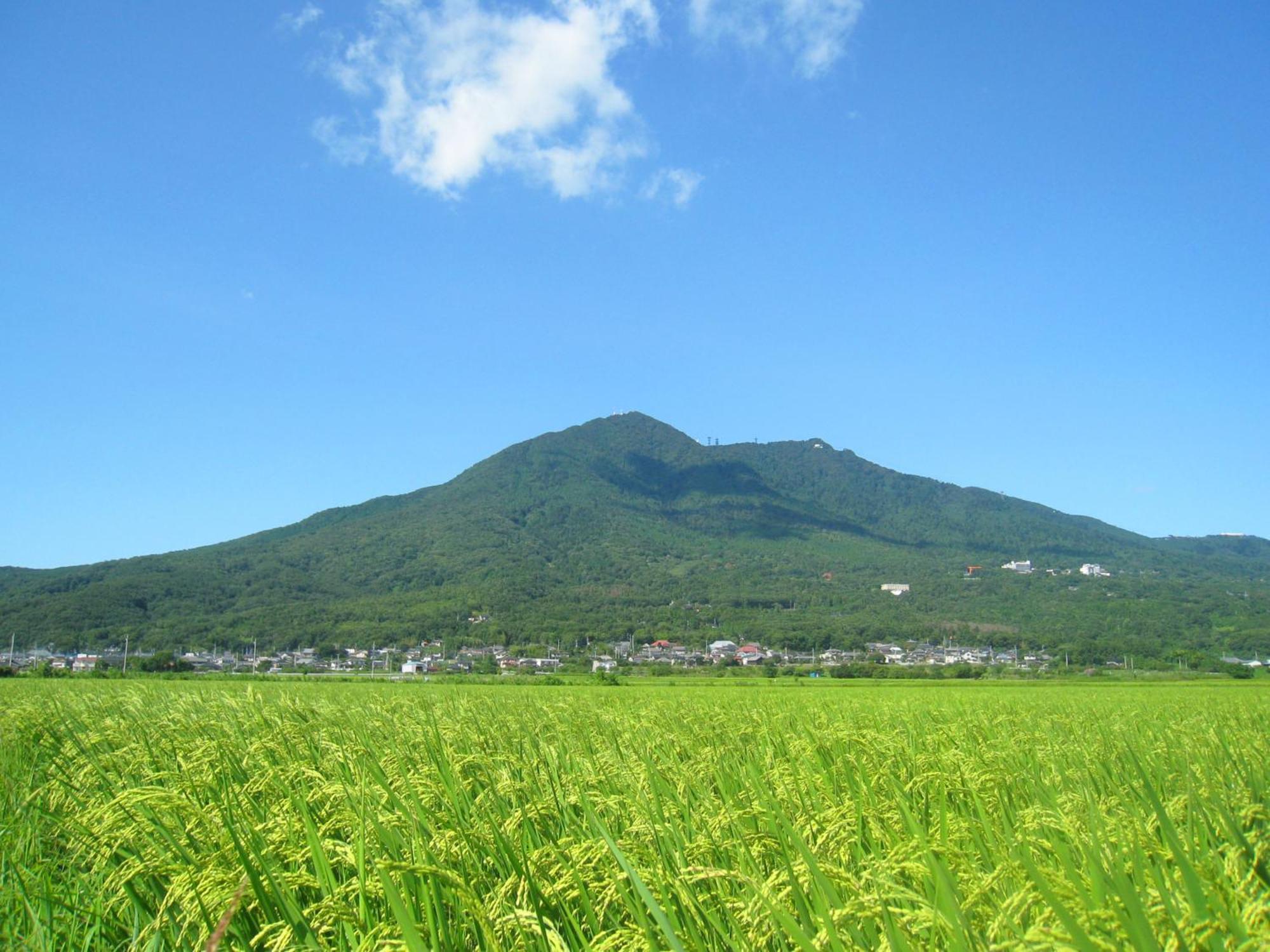 Hotel Jal City Tsukuba Eksteriør bilde